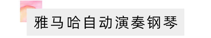 活动报道 | 远程艺术教育大师课活动—凯发k8国际教育家崔岚大师课